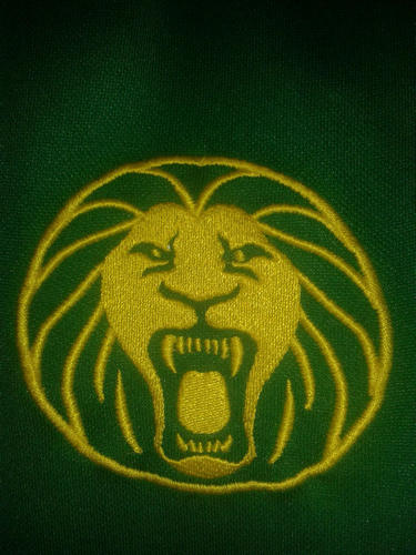 maillot cameroun domicile 2009-2010 pas cher maillot cameroun domicile 2009-2010 pas cher