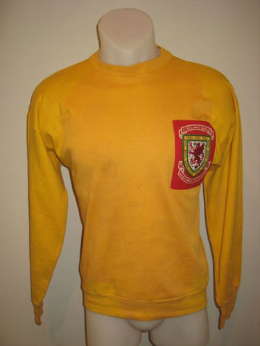 maillot de foot galles gardien 1965-1966 pas cher