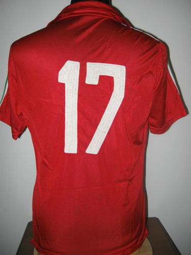 maillot de foot hongrie domicile 1978 pas cher