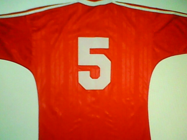 maillot de foot turquie domicile 1994-1996 rétro