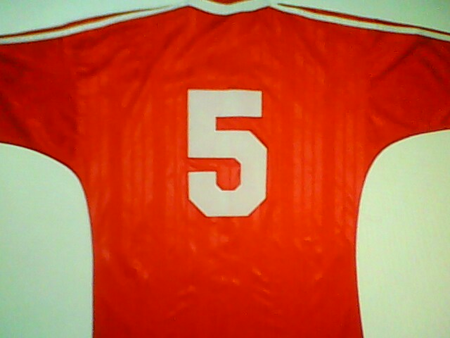 maillot de foot turquie domicile 1994-1996 rétro