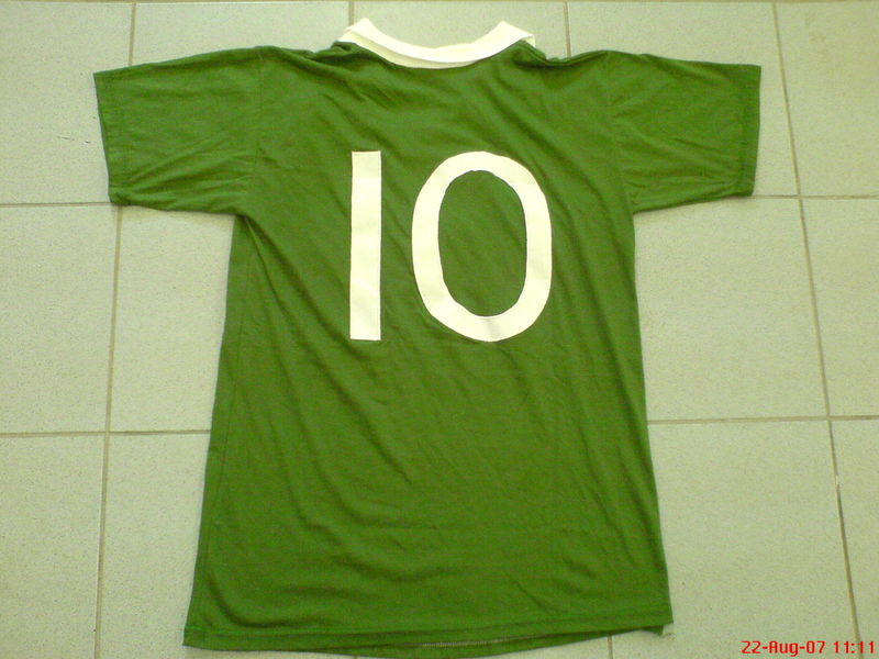 maillot de irlande du nord domicile 1974-1976 pas cher maillot de irlande du nord domicile 1974-1976 pas cher